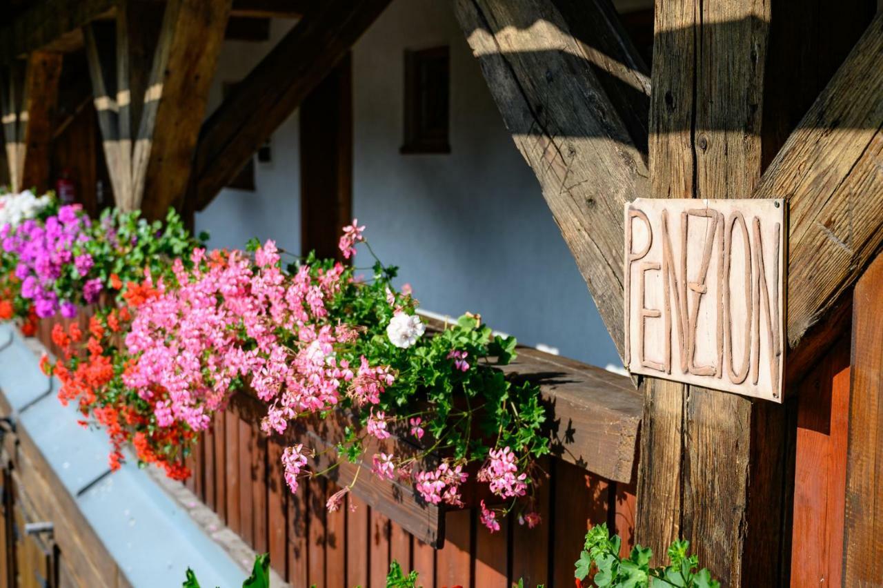 Penzion Tyra Trinec Exterior foto